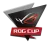 ROG Cup 5 - Playoffs logo