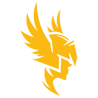 Valkyre eSports's logo