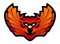 Next Destiny eSports's logo