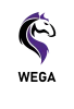 Western Wyverns logo