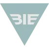 BI Kittens logo