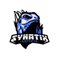 Team Synatix logo