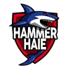 HammerHaie logo