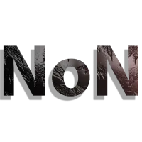 NoNonames logo