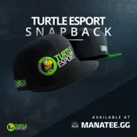 Turtle eSport Snapback logo_logo