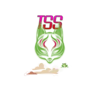 The Storm Soliders logo