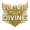 Team Divine logo