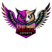 RedZ 4vs4 Lan 2 logo