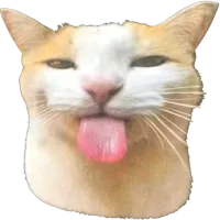 MidLadderDemons logo