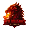RED DRAGONZ E-SPORT logo