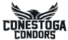 Conestoga Condors Academy logo