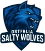 Ostfalia Salty Wolves logo
