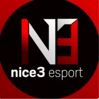 Team Nice3 OGs logo
