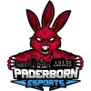 Paderborn E-Sports logo