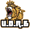 UDR6 logo