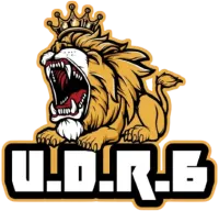 UDR6 logo