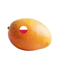 Mango logo