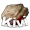 Kivi Esports logo