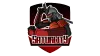 Saturlity logo