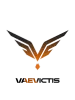 VAE VICTIS logo