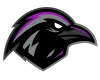 RAVN | Professional Esports logo