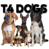 T4 Dogs logo