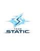 Team STATIC logo