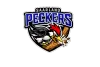 Saarland Woodpeckers logo