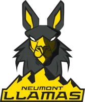 Neumont University logo