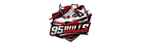 95' Bulls X logo