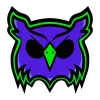 BLIND OWLS ACADEMY logo