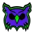 BLIND OWLS ACADEMY logo