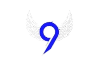 9Fly logo