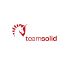 Team Solid logo