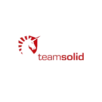 Team Solid logo