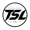 Translucent logo