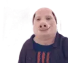 John pork gaming logo