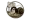 Anton Csigusz logo