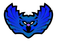 Next Destiny eSports - Academy logo