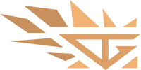 DG Gaming logo