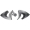 BNTH Academy logo