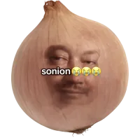 SONION [inactive] logo
