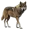 wolf pack logo