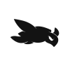 TURTLES CLAN logo