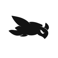 TURTLES CLAN logo