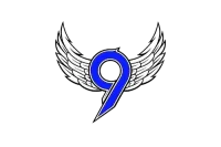 9Fly Academy logo