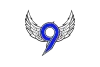 9Fly Academy logo
