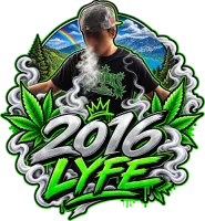 2016 logo