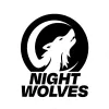 NIGHT WOLVES ESPORT logo