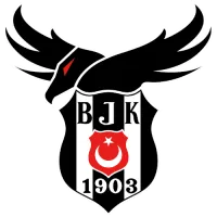 DenizBank İstanbul Wildcats logo_logo